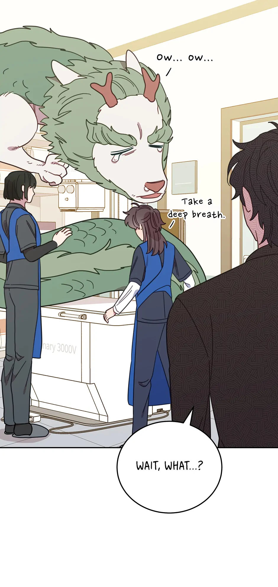 An animal hospital in the border area Chapter 116 page 11