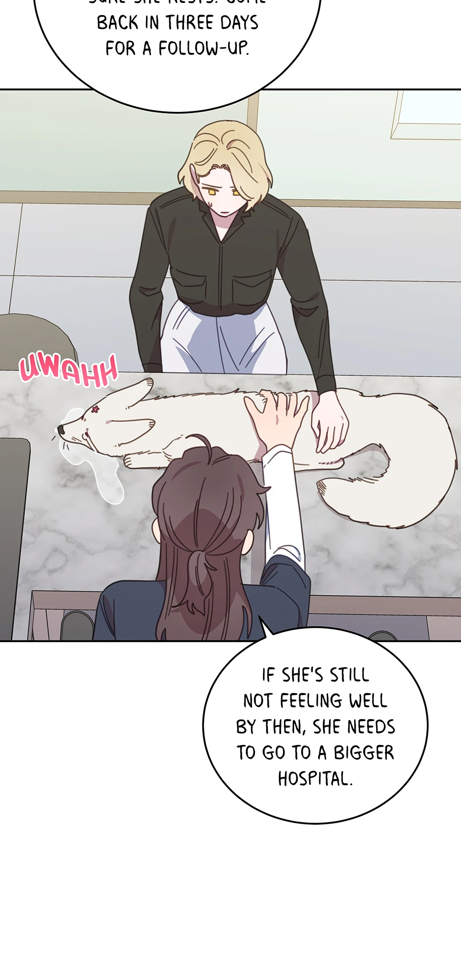 An animal hospital in the border area Chapter 116 page 26