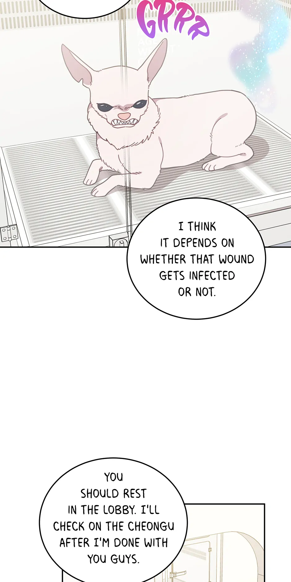 An animal hospital in the border area Chapter 116 page 21