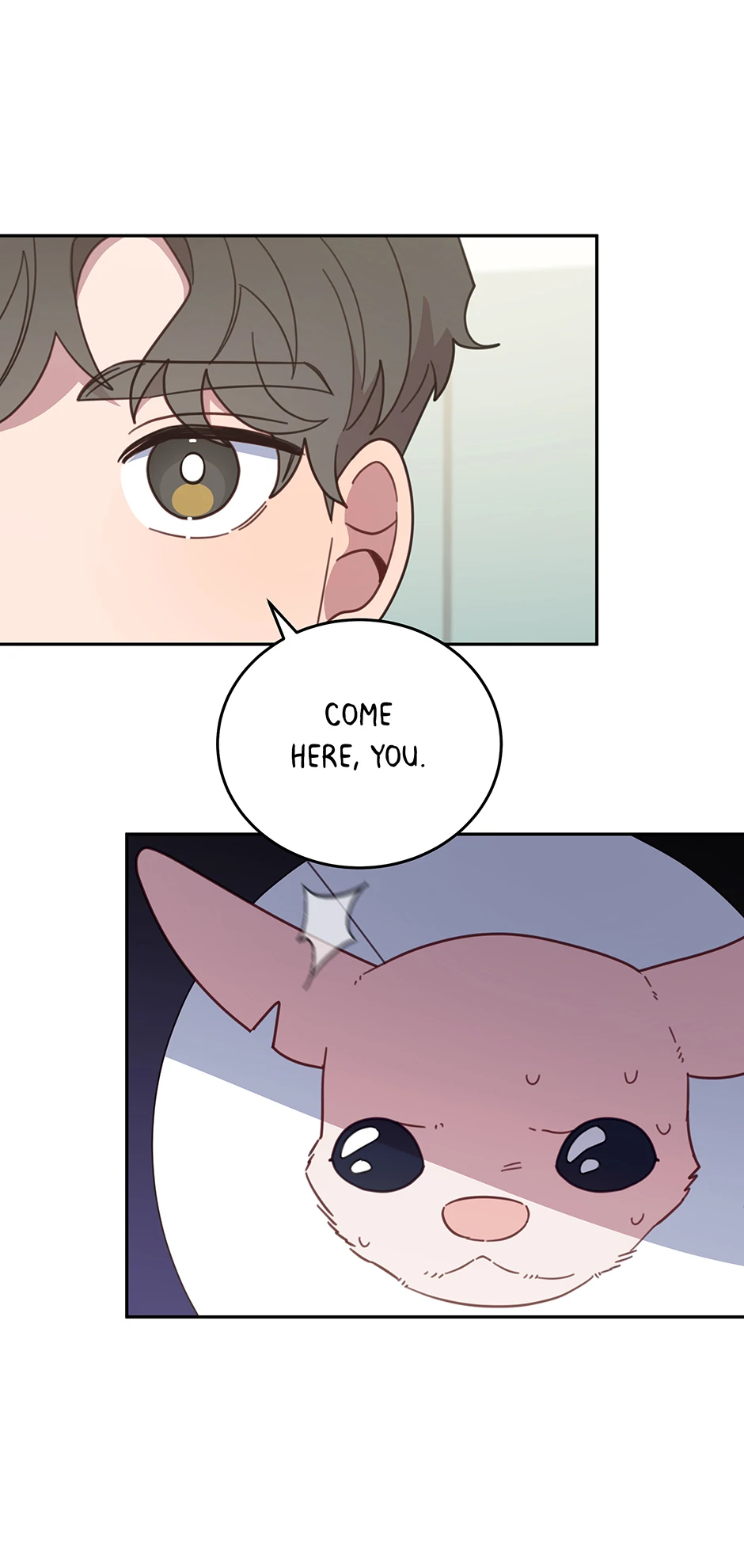 An animal hospital in the border area Chapter 116 page 49