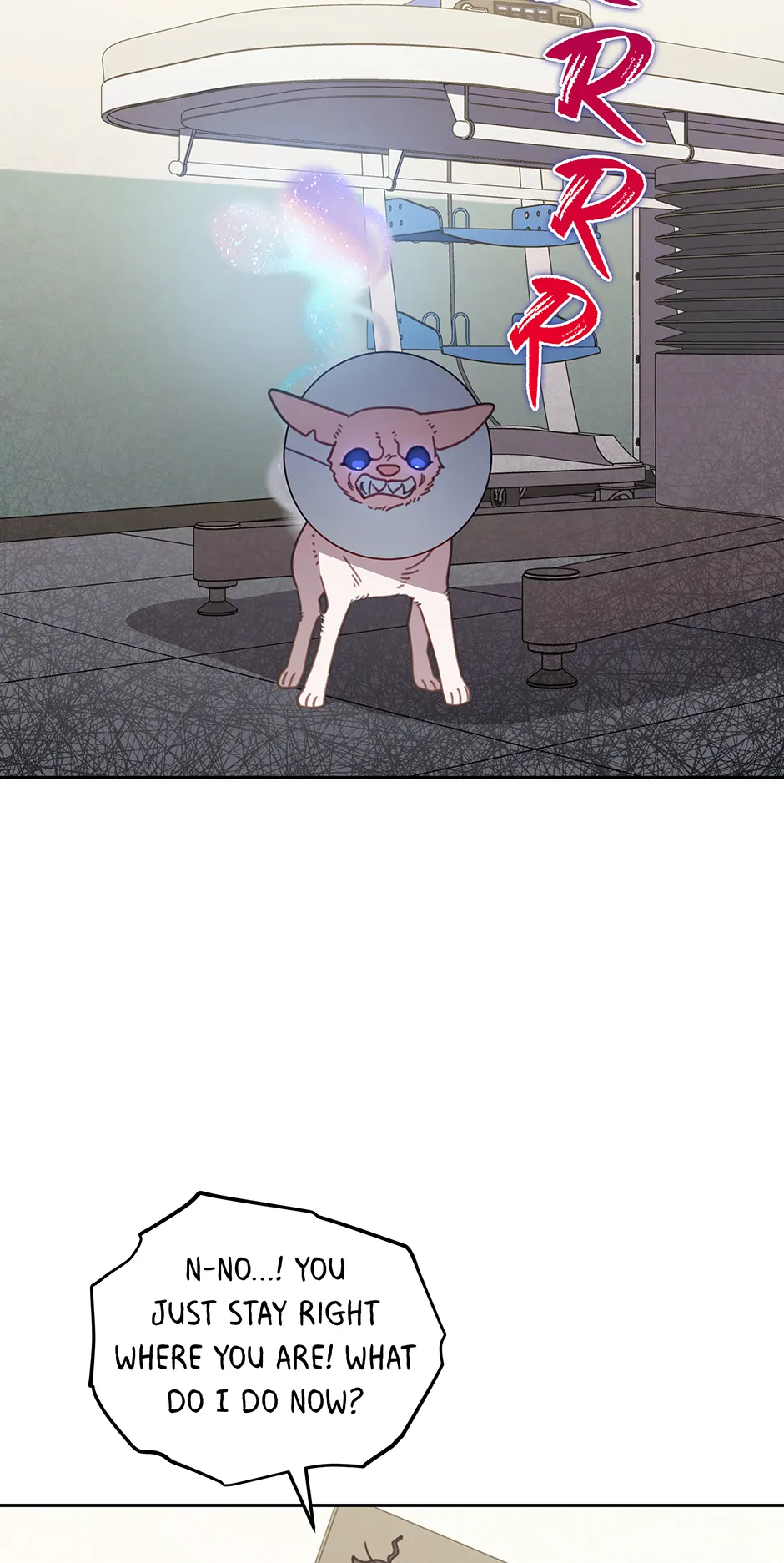 An animal hospital in the border area Chapter 116 page 45