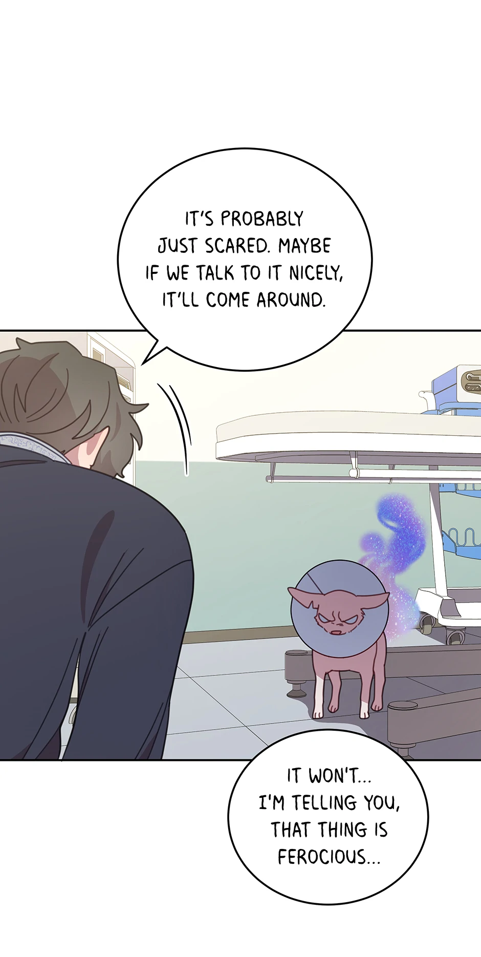 An animal hospital in the border area Chapter 116 page 48