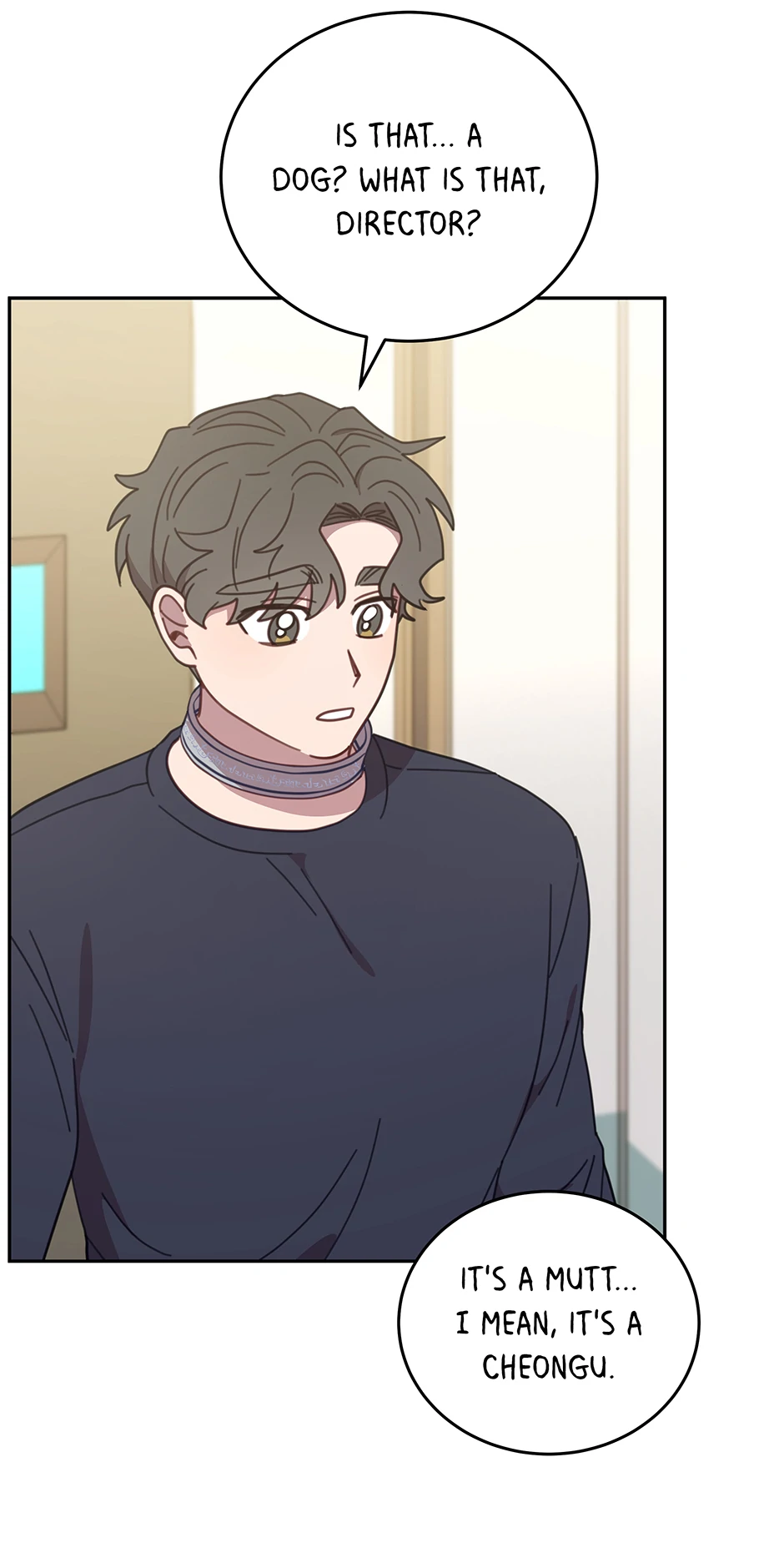 An animal hospital in the border area Chapter 116 page 47