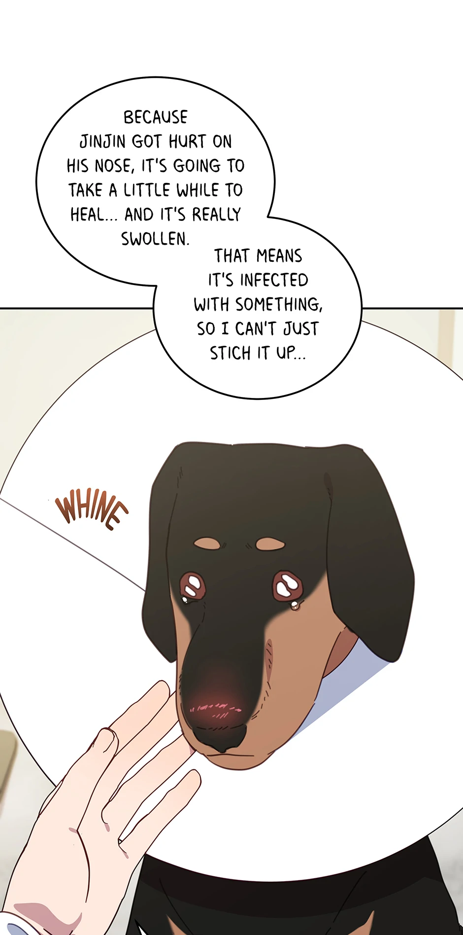 An animal hospital in the border area Chapter 116 page 32