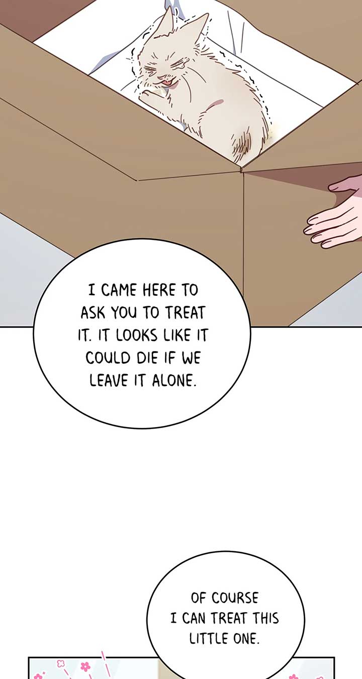 An animal hospital in the border area Chapter 118 page 30