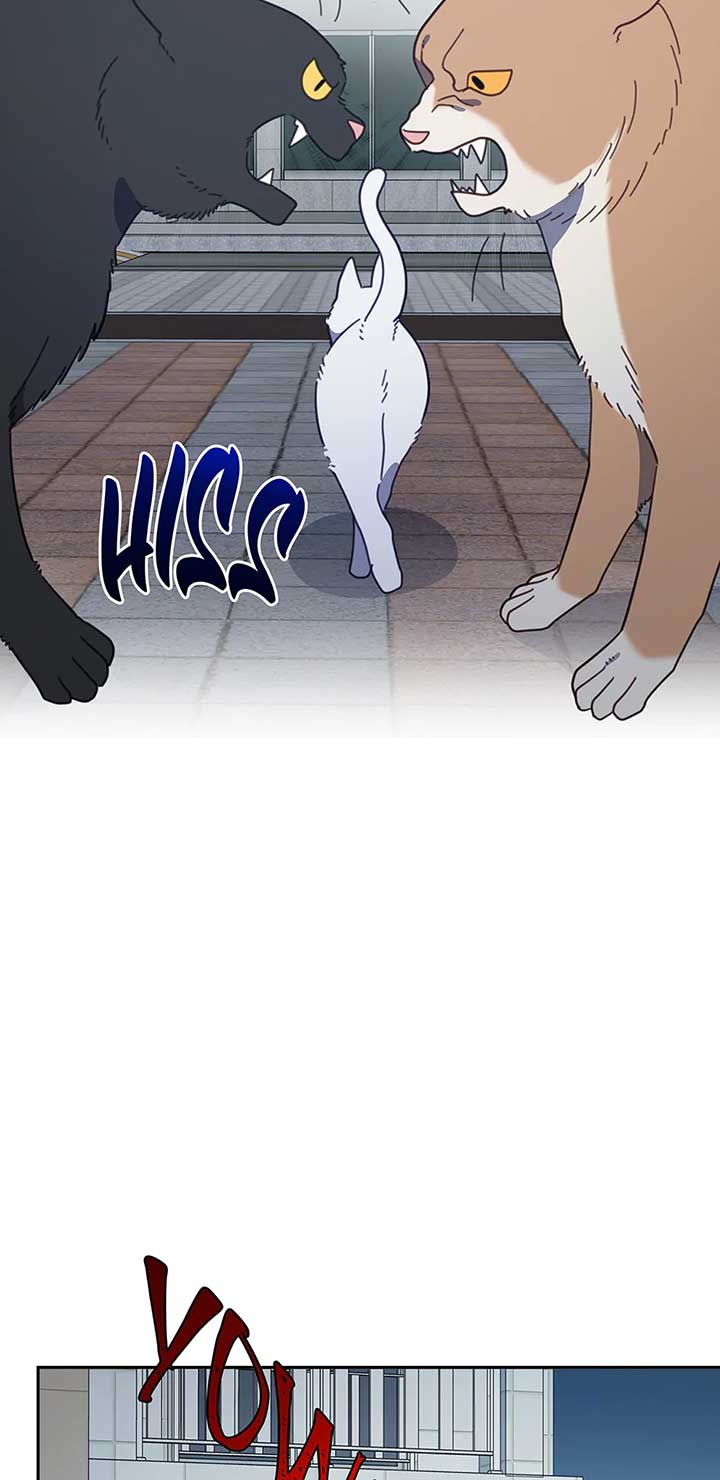 An animal hospital in the border area Chapter 118 page 4
