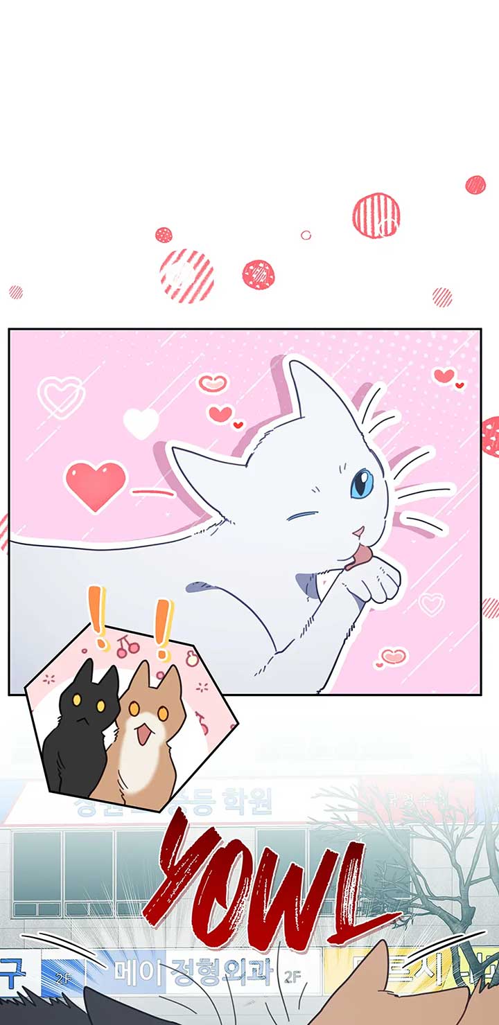 An animal hospital in the border area Chapter 118 page 3