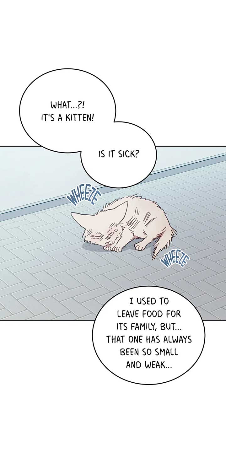 An animal hospital in the border area Chapter 118 page 20