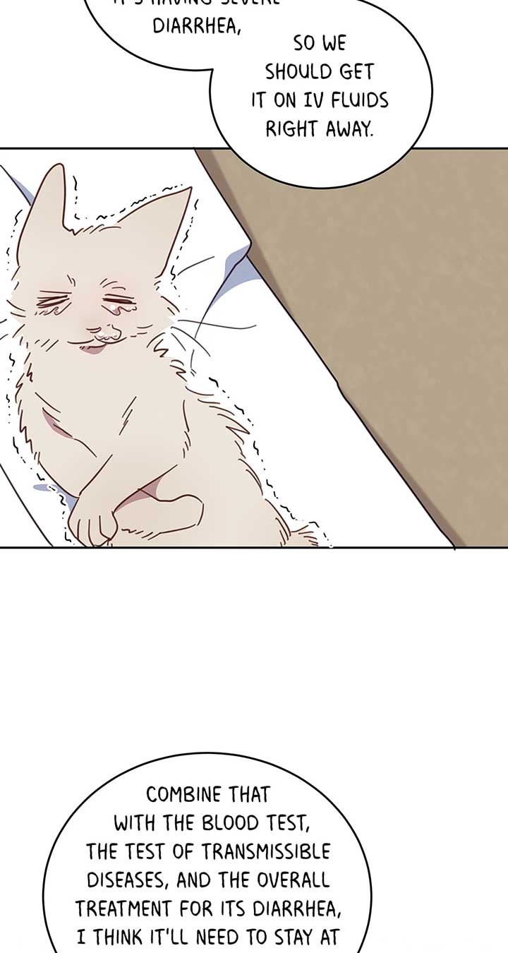 An animal hospital in the border area Chapter 118 page 35