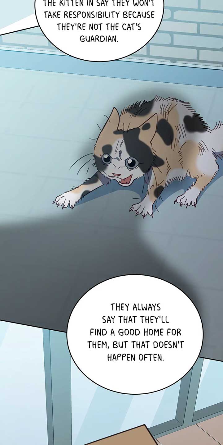 An animal hospital in the border area Chapter 118 page 51