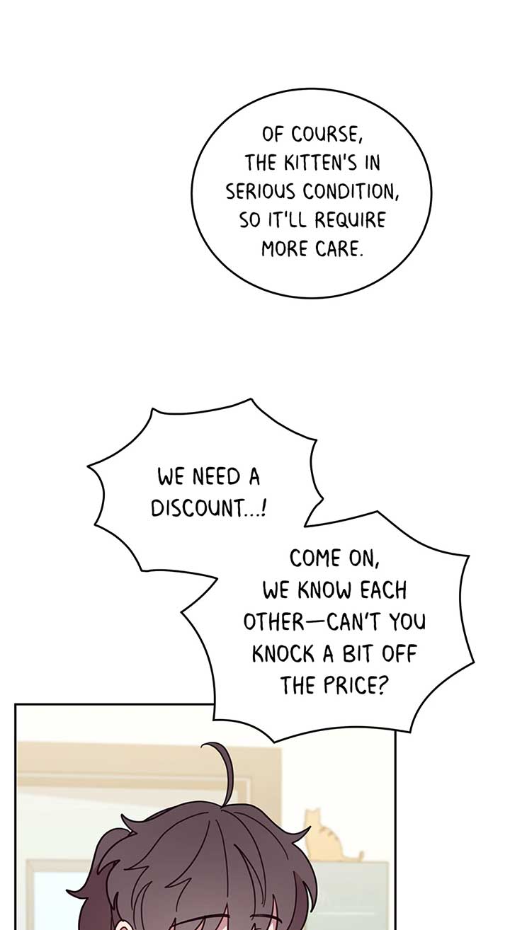 An animal hospital in the border area Chapter 118 page 37