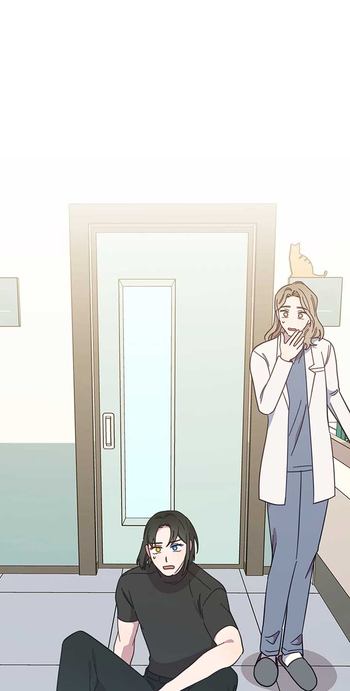 An animal hospital in the border area Chapter 118 page 69