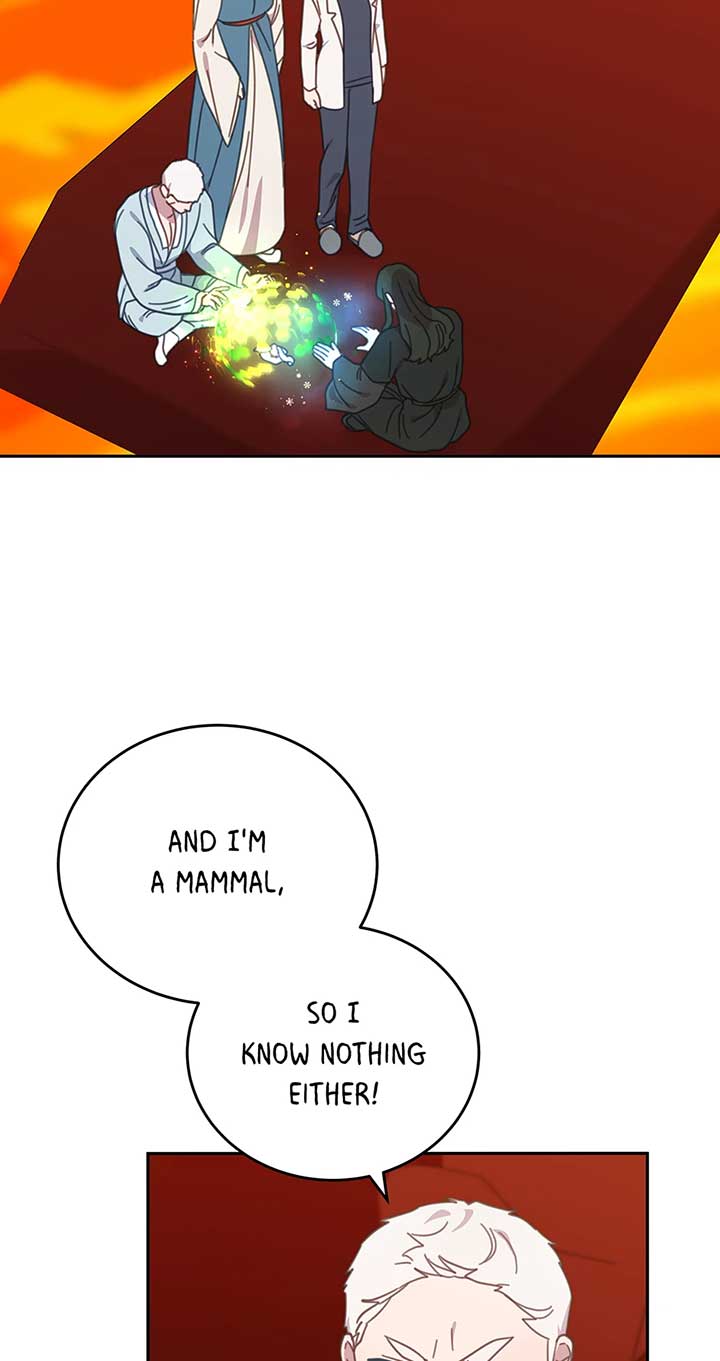 An animal hospital in the border area Chapter 120 page 52