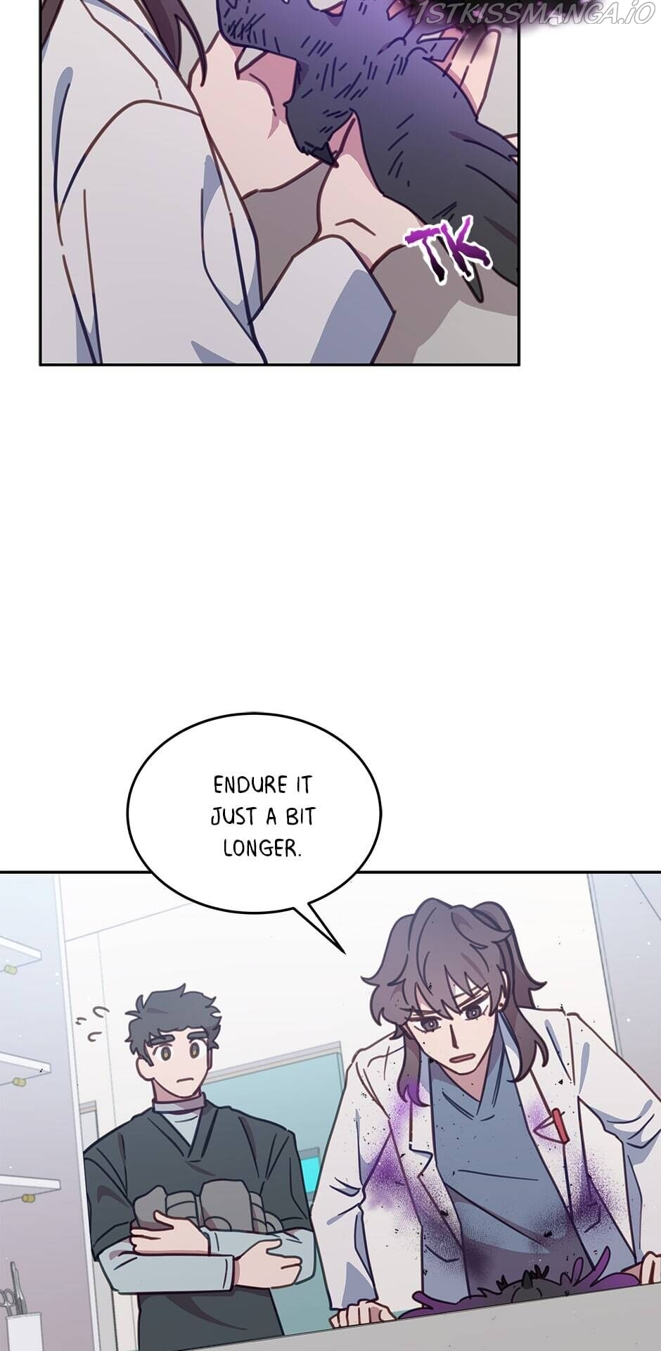 An animal hospital in the border area Chapter 36 page 31