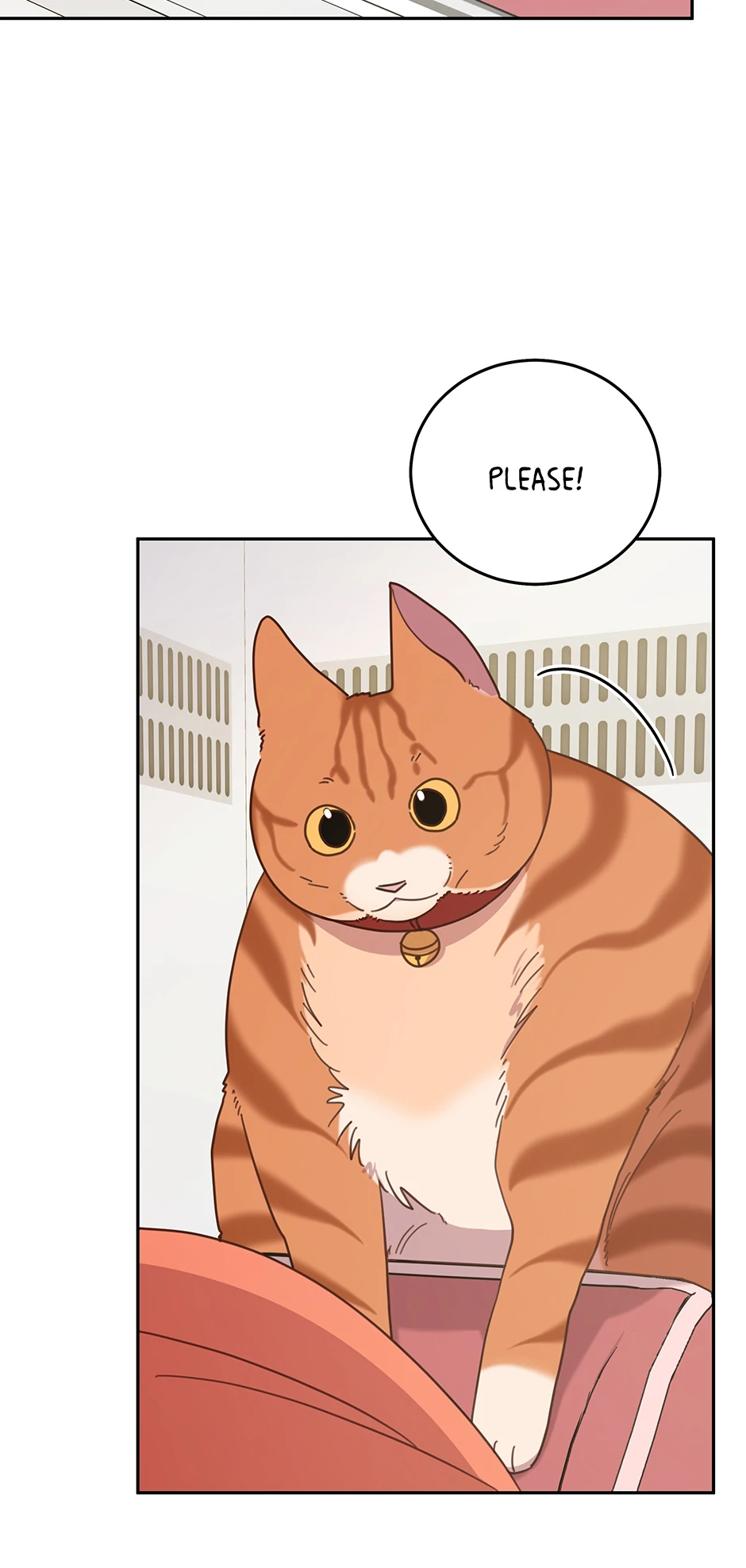 An animal hospital in the border area Chapter 146 page 8