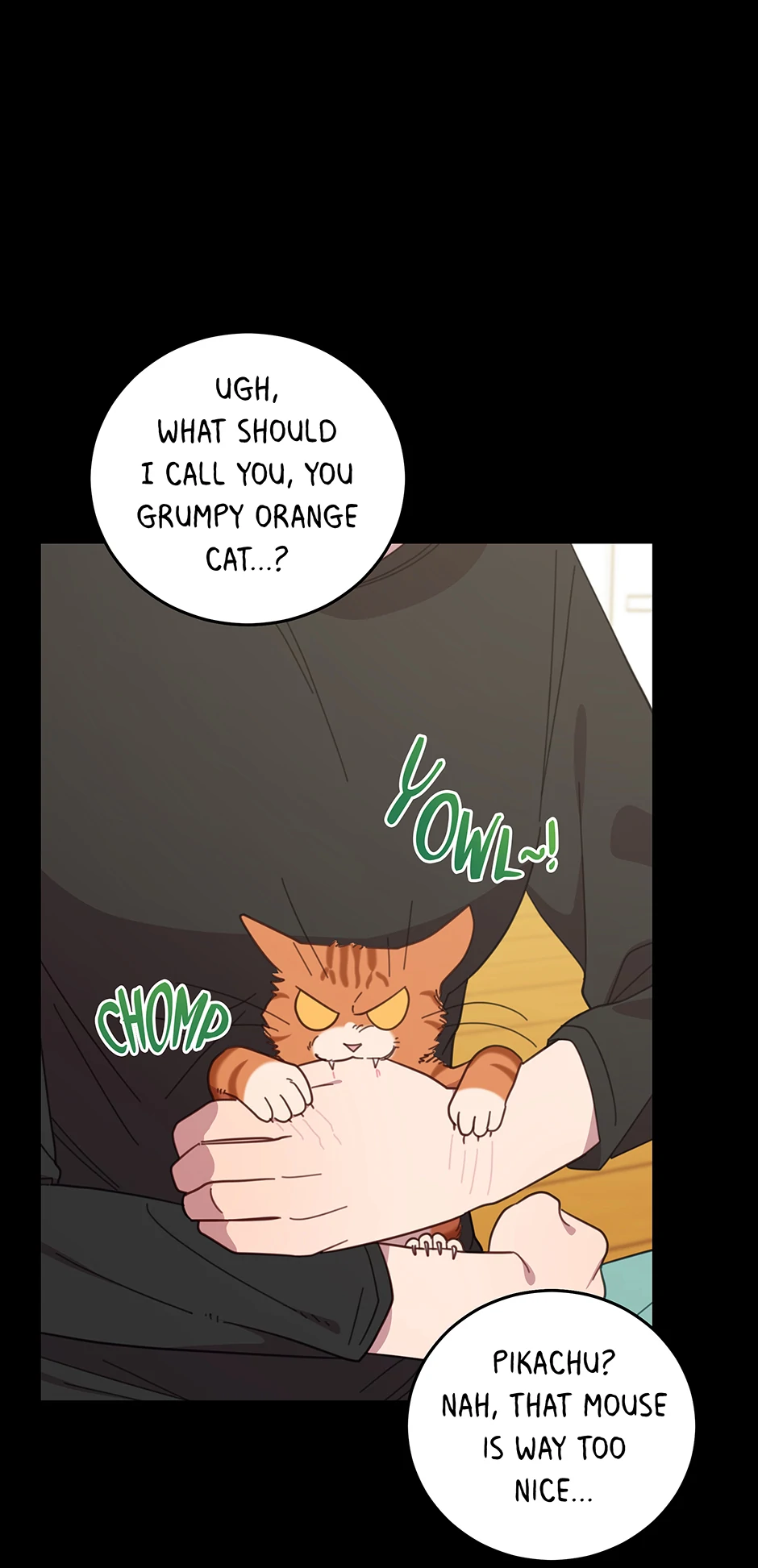 An animal hospital in the border area Chapter 149 page 11