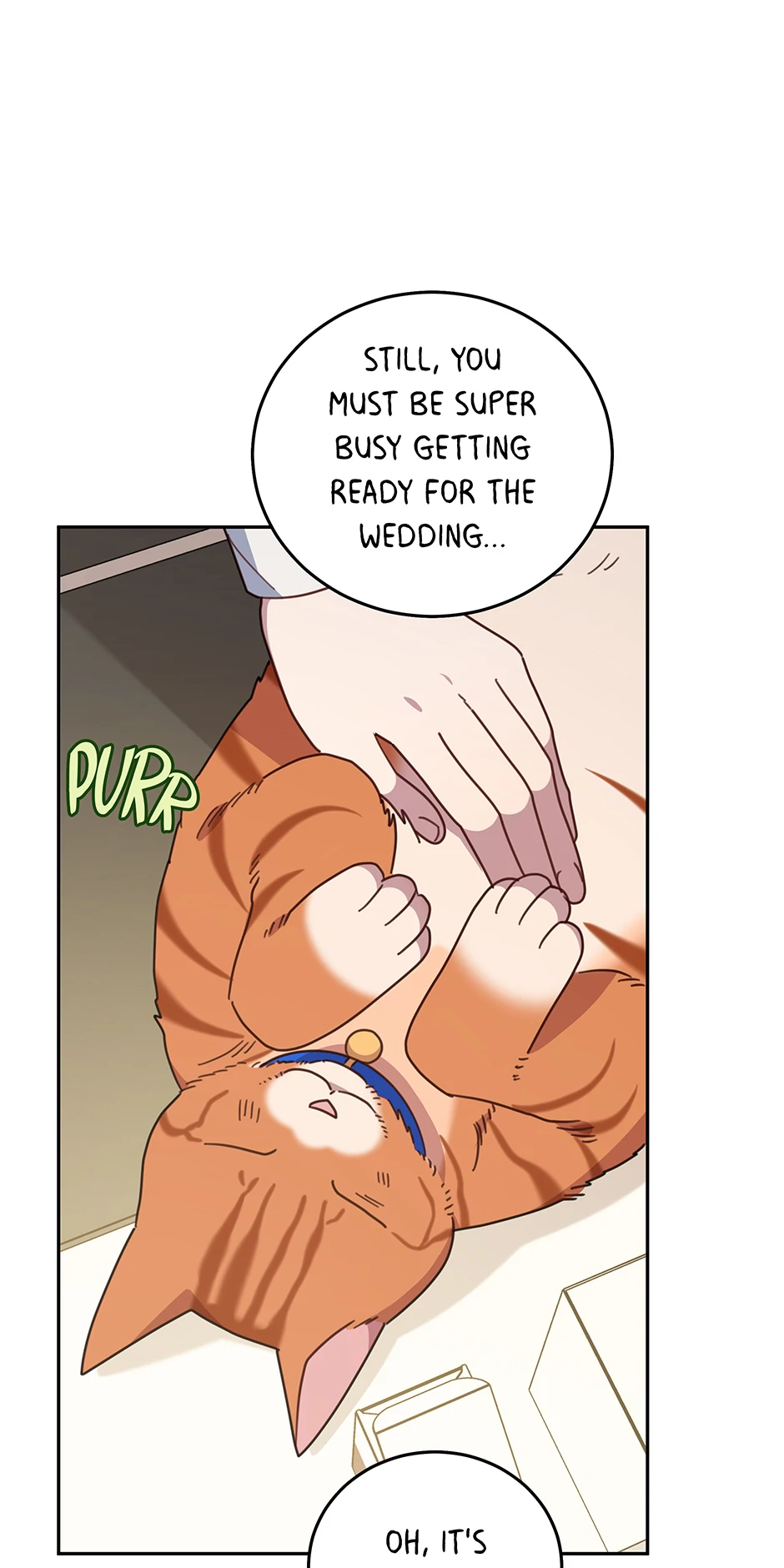 An animal hospital in the border area Chapter 150 page 34