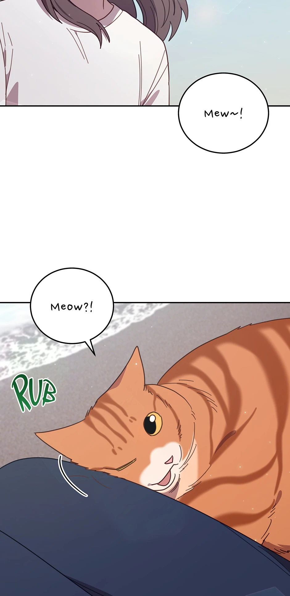 An animal hospital in the border area Chapter 149 page 63
