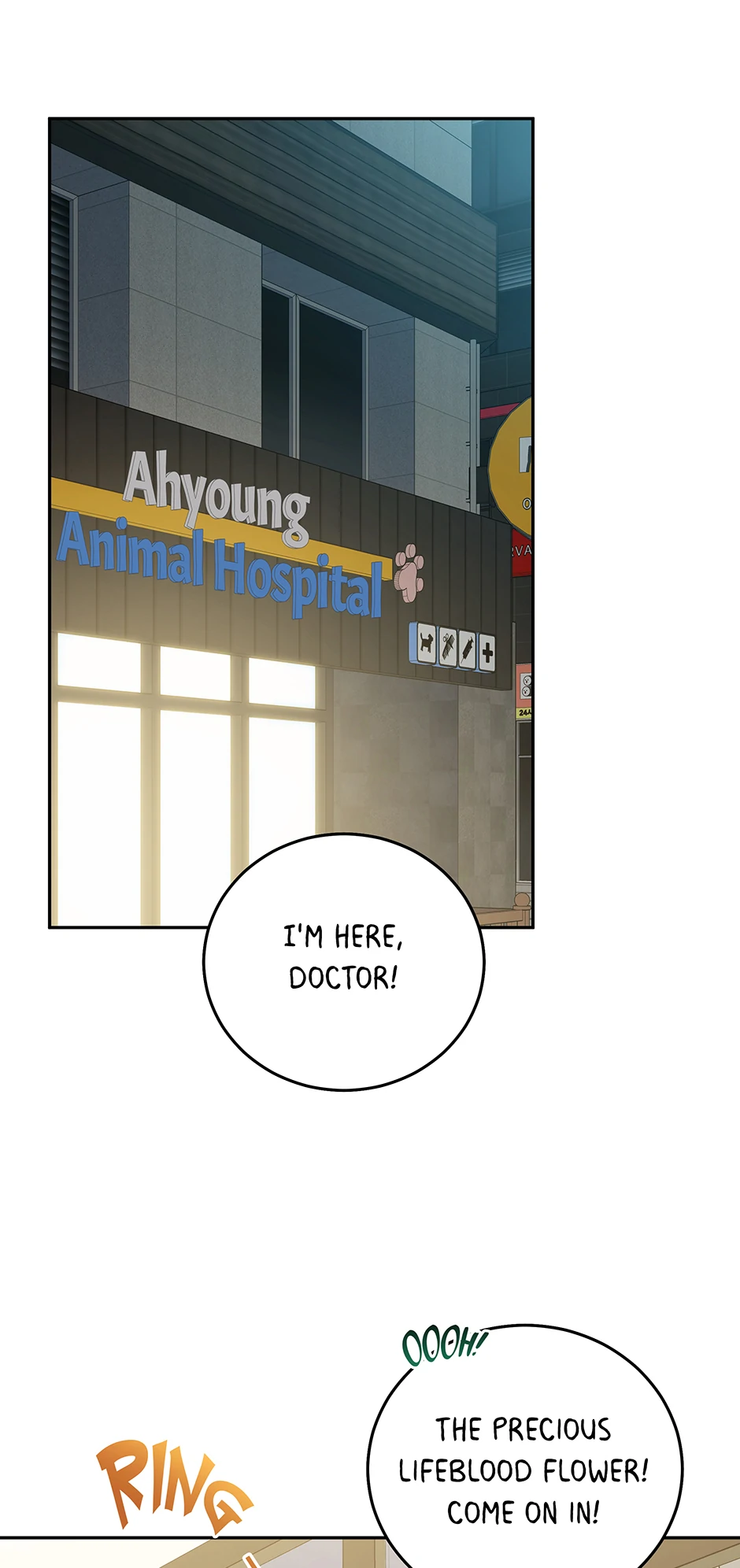 An animal hospital in the border area Chapter 148 page 42