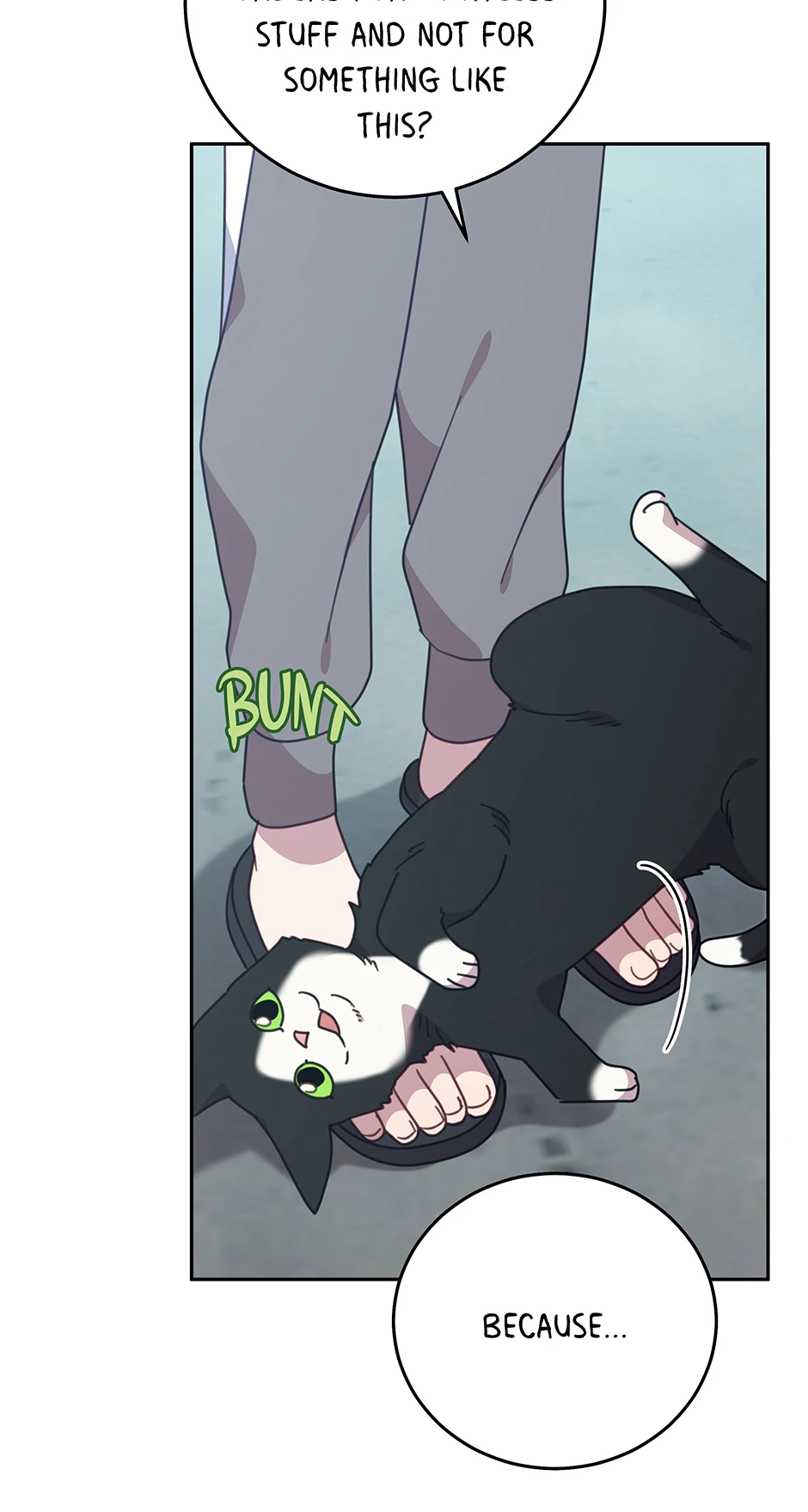 An animal hospital in the border area Chapter 151 page 50