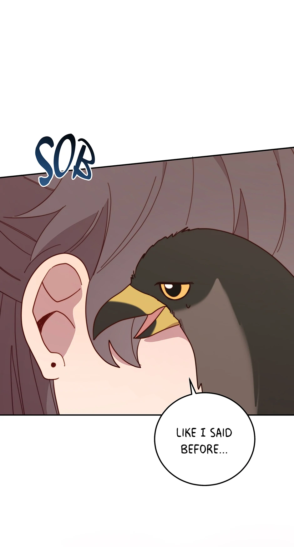 An animal hospital in the border area Chapter 152 page 73