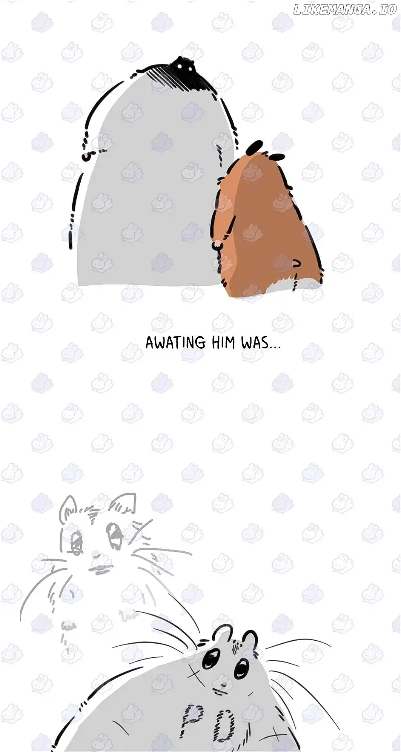 An animal hospital in the border area Chapter 90 page 70