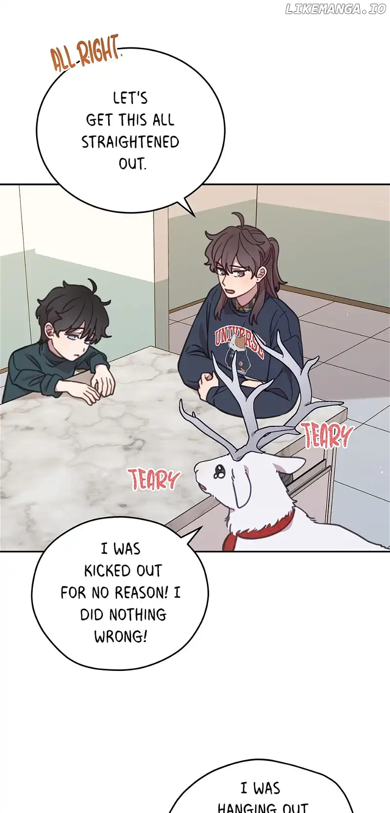An animal hospital in the border area Chapter 92 page 11