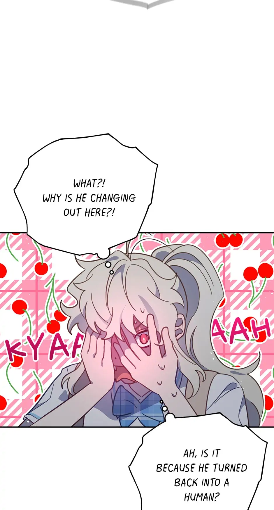 An animal hospital in the border area Chapter 63 page 43
