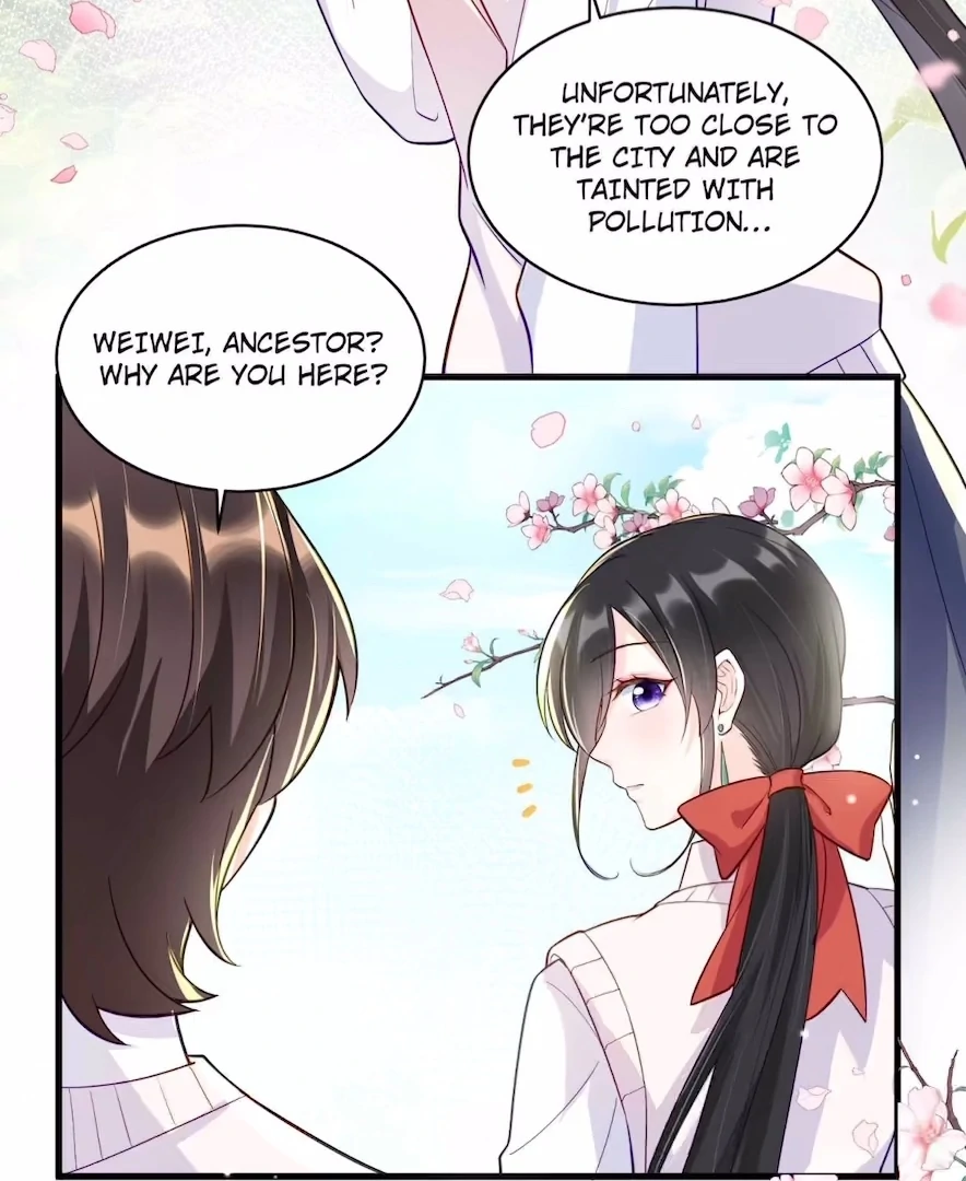 Ancestor is beautiful and elegant Chapter 35 page 5