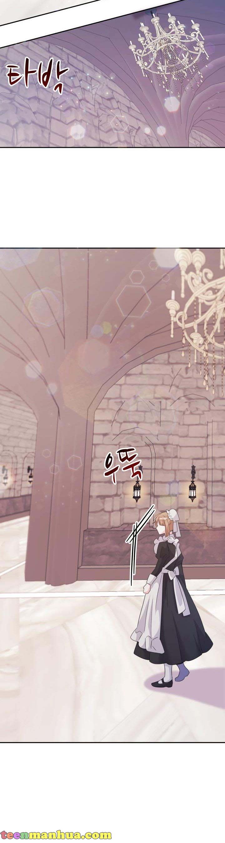 The Princess Reincarnation Chapter 10 page 17