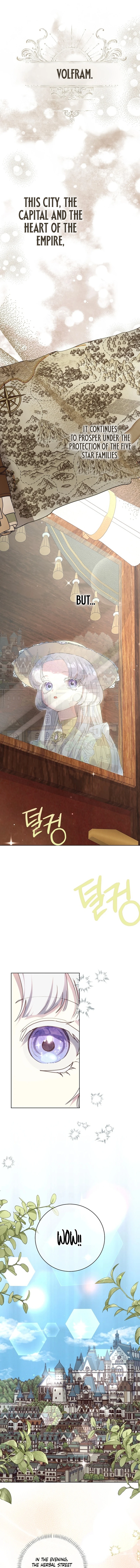 The Princess Reincarnation Chapter 27 page 8