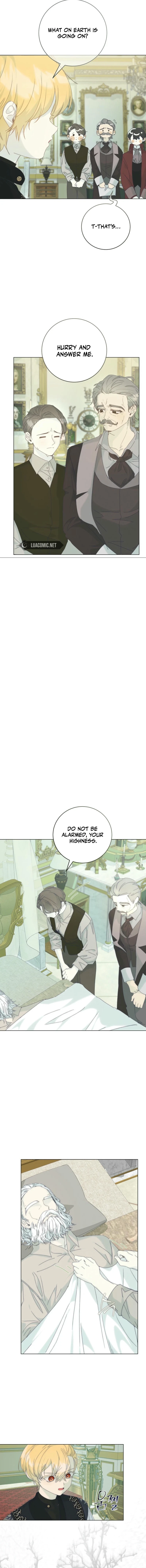 The Princess Reincarnation Chapter 33 page 5