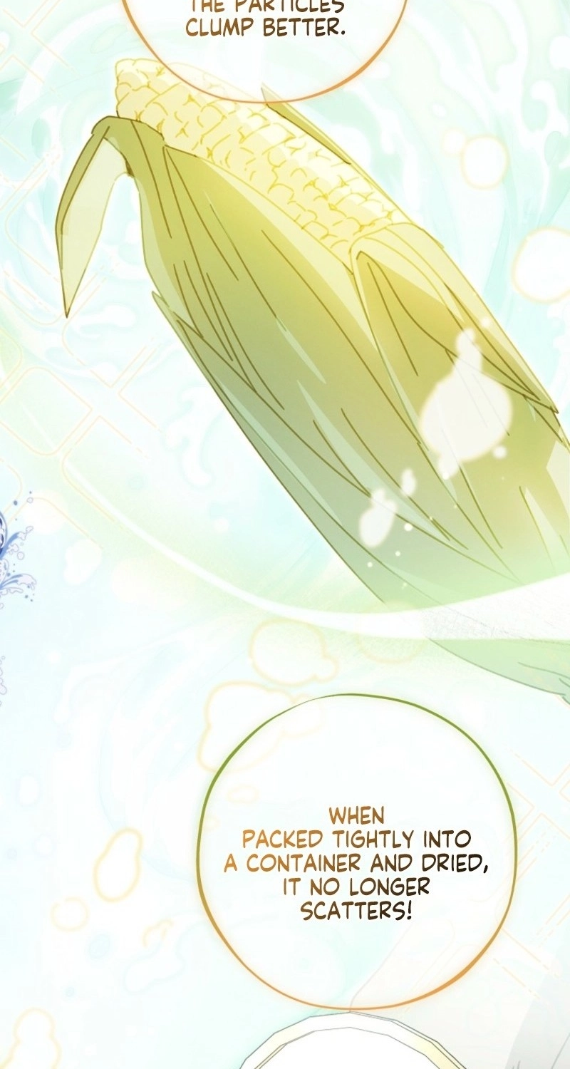 The Princess Reincarnation Chapter 52 page 42