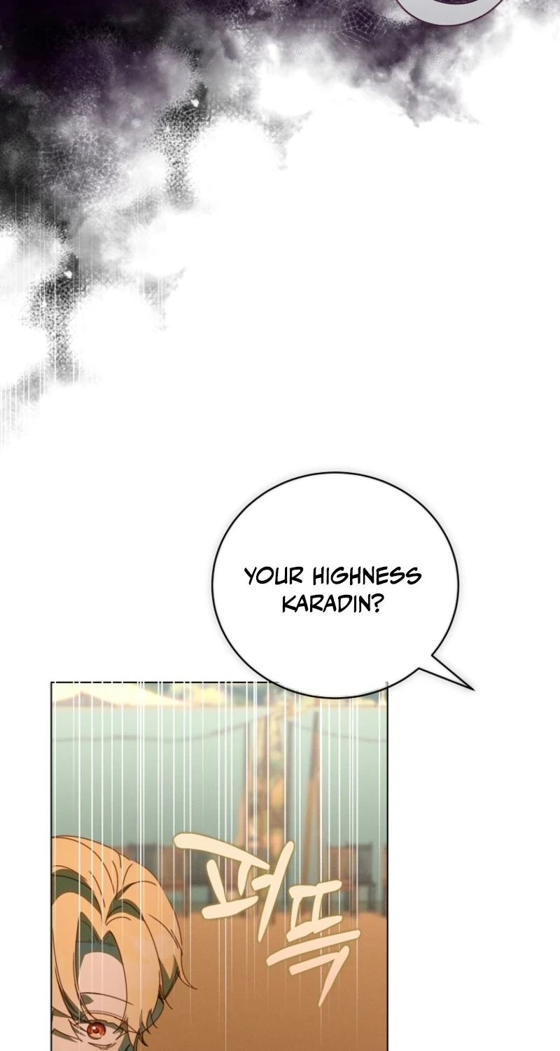 The Princess Reincarnation Chapter 66 page 45