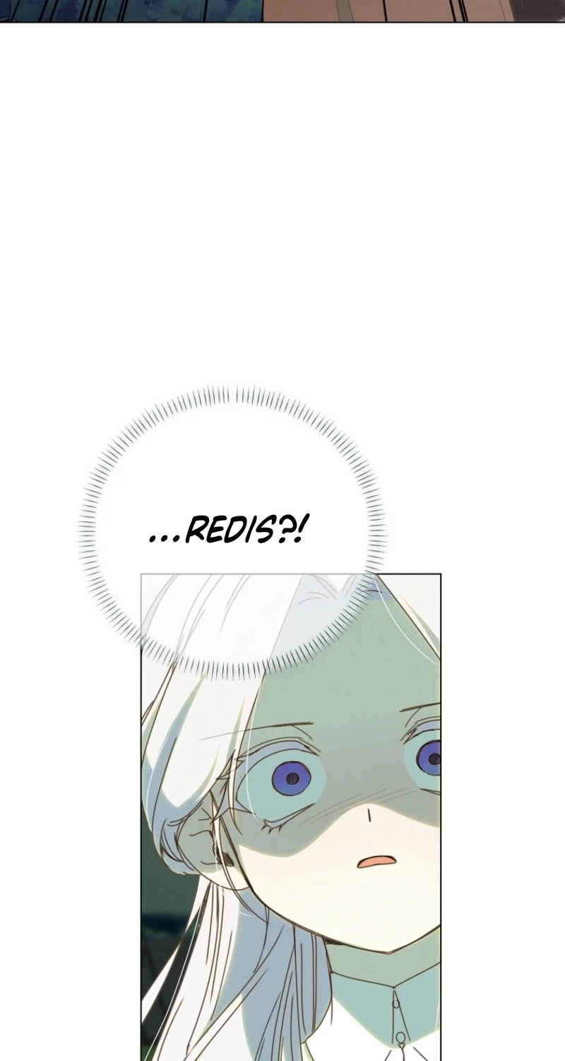 The Princess Reincarnation Chapter 67 page 35