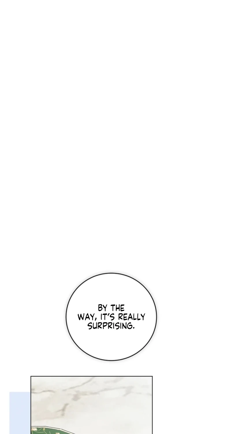 The Princess Reincarnation Chapter 71 page 13