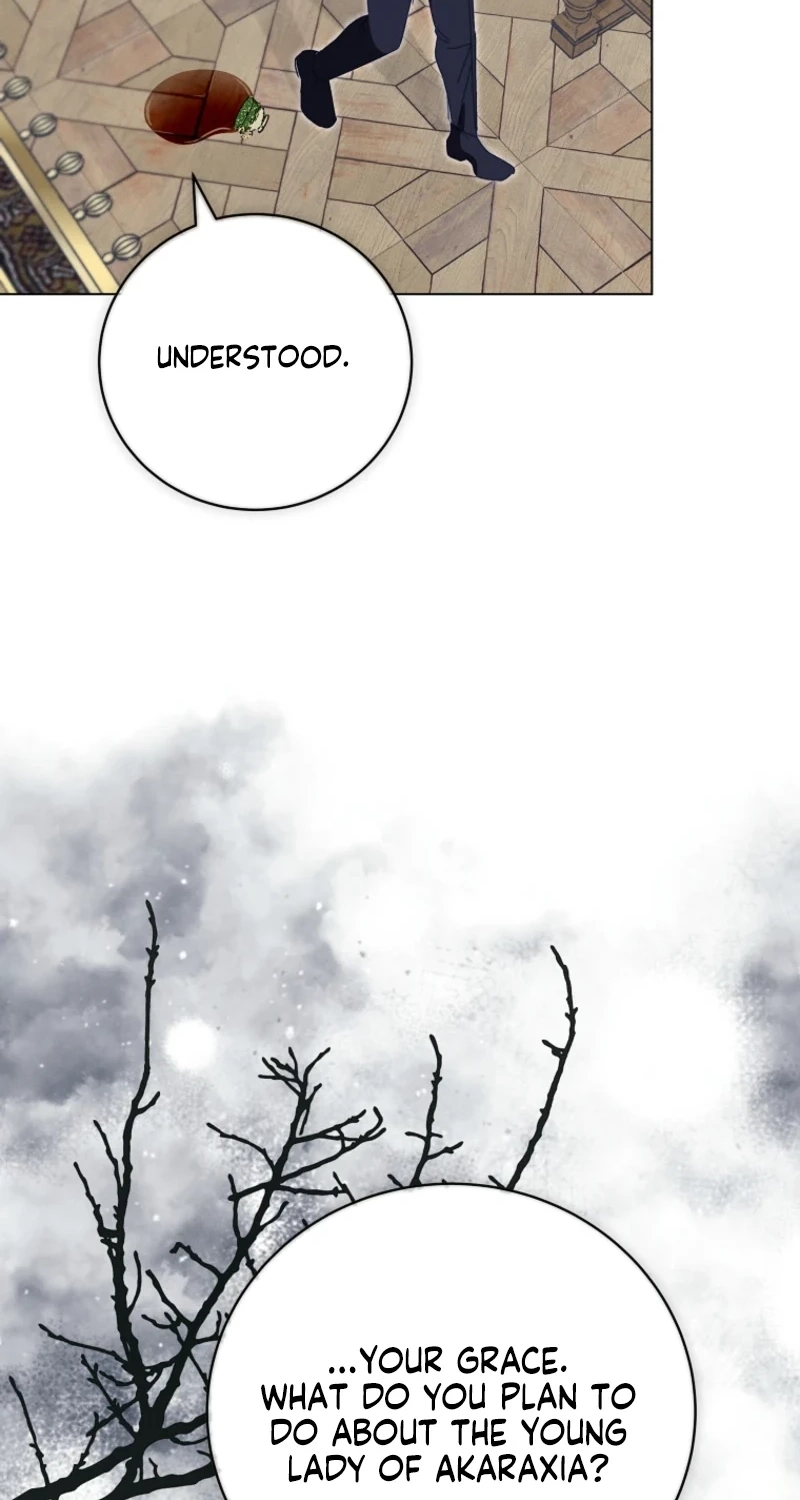 The Princess Reincarnation Chapter 71 page 80