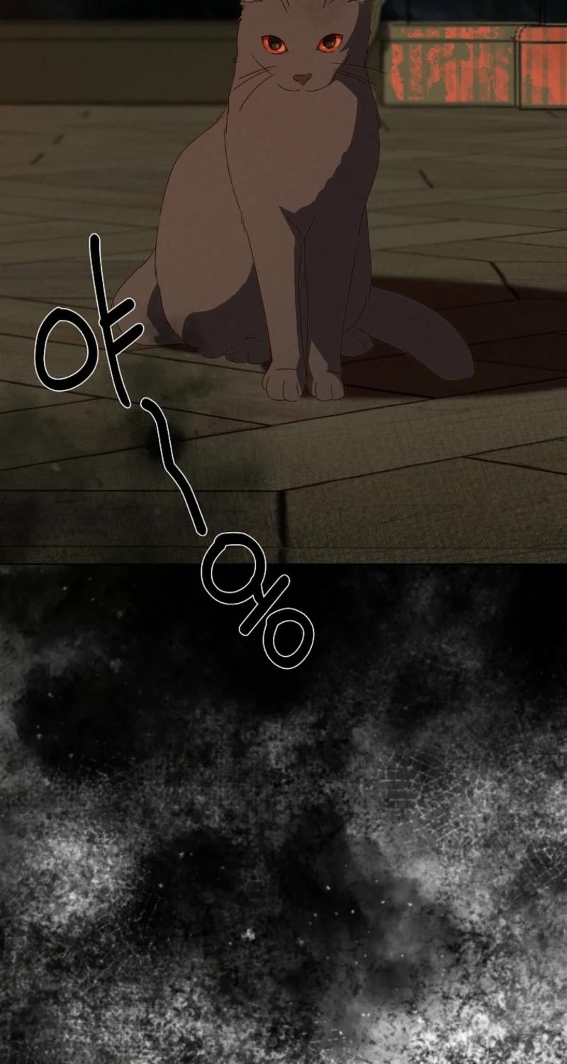 The Princess Reincarnation Chapter 71 page 88