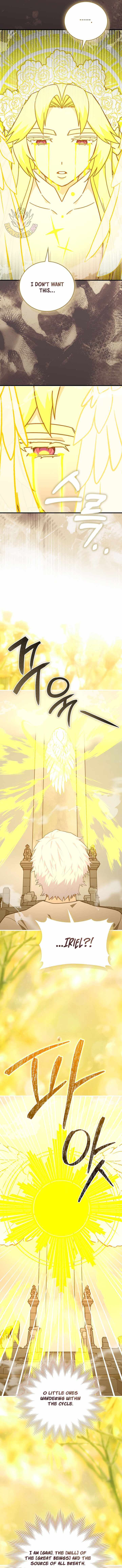 To Hell With Being A Saint, I’m A Doctor Chapter 181 page 13