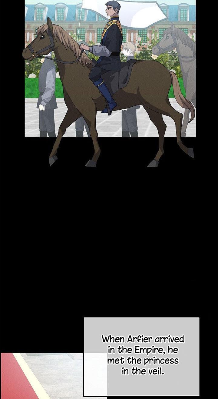 Answer Me, My Prince Chapter 25 page 47