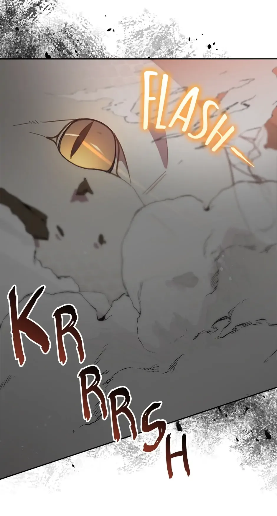 An animal hospital in the border area Chapter 70 page 62