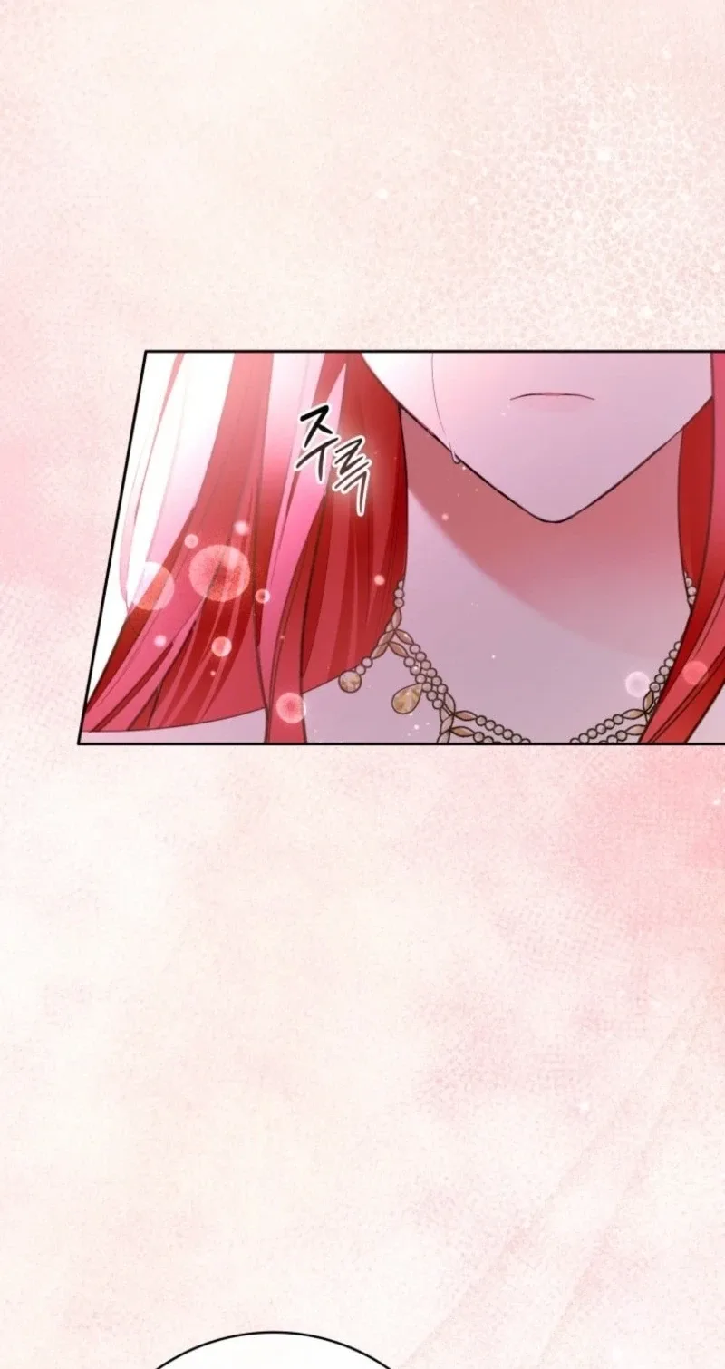 I Became The Male Leads’ Target Chapter 67 page 17