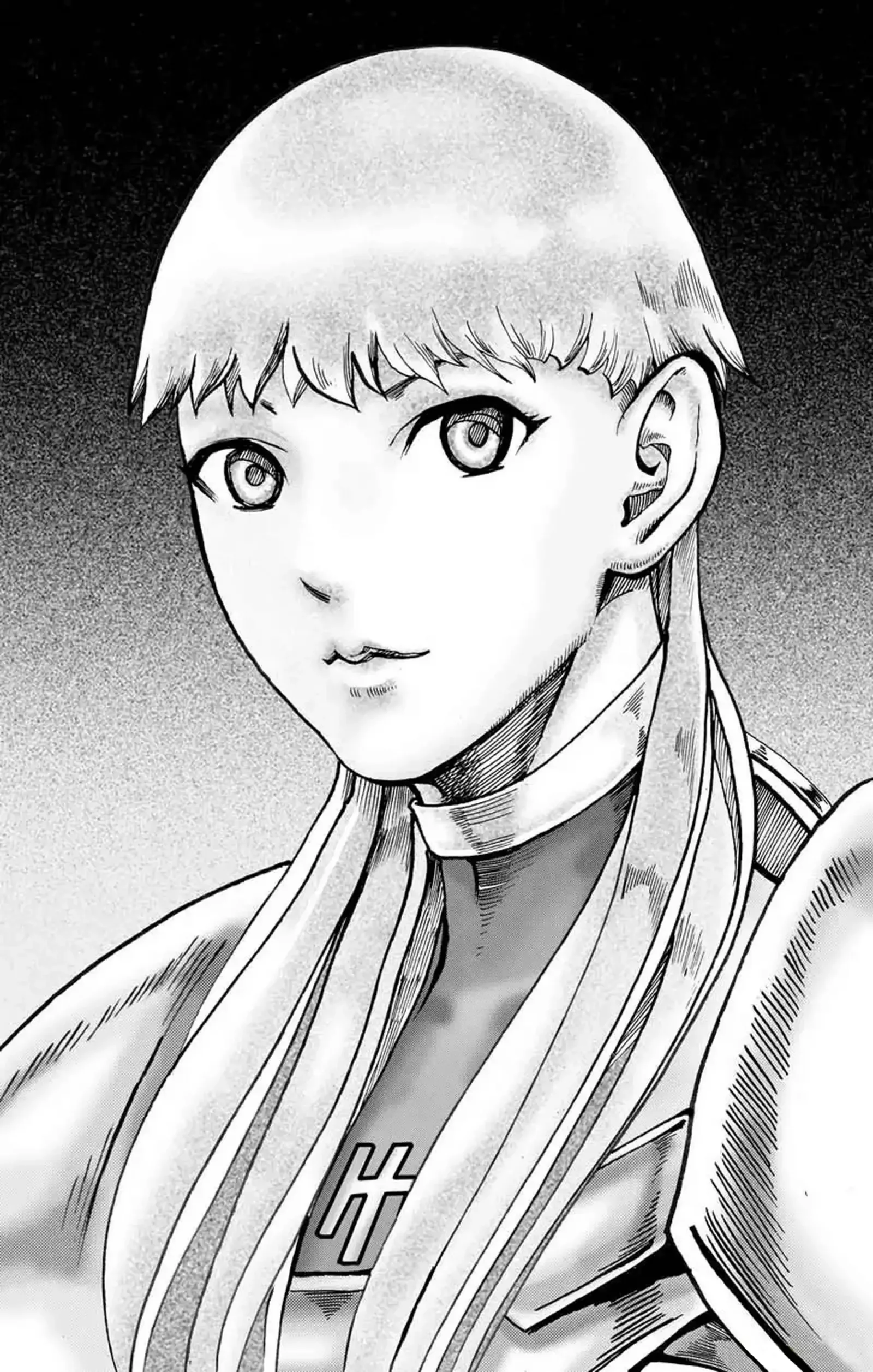 Claymore - The Warrior's Wedge (Doujinshi) Chapter 2 page 26