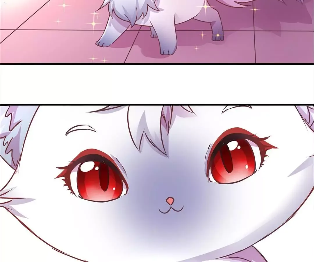 Fox King's Only Lover Chapter 3 page 18
