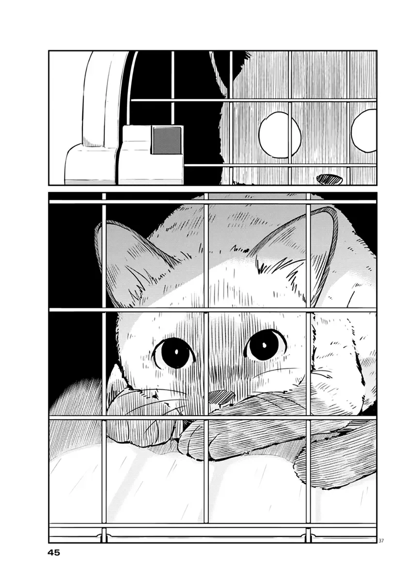 Are You Really Getting Married? Chapter 1 page 37