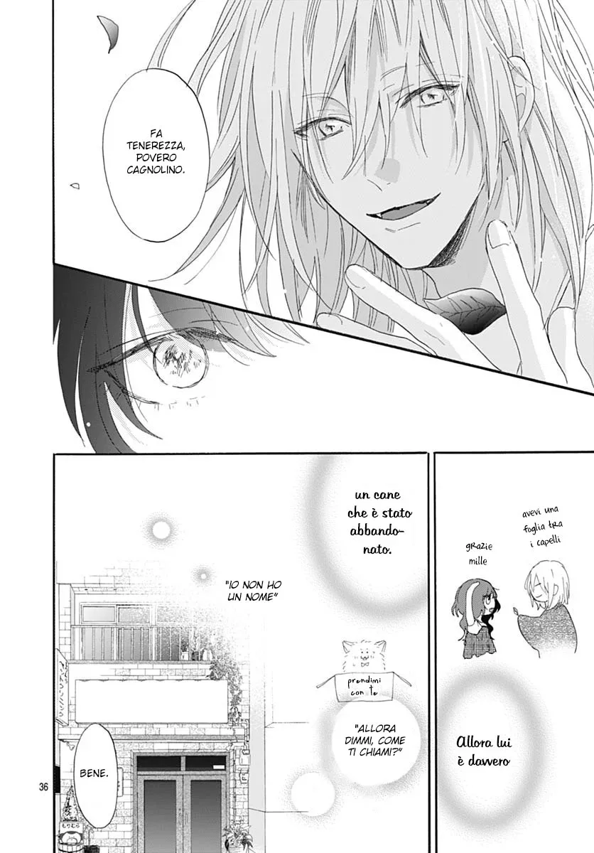 Kimi to Wonderland Chapter 2 page 37