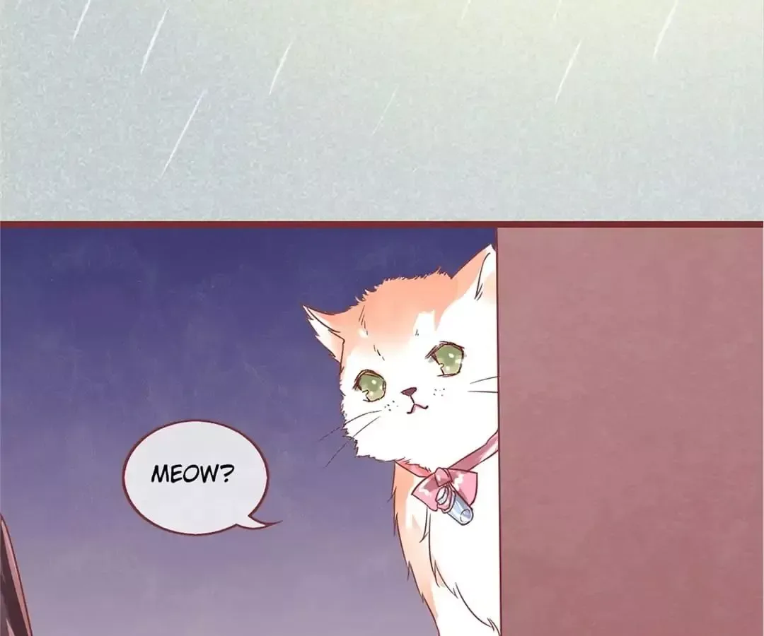 Guide To Raising Kitty Boyfriend Chapter 1 page 128