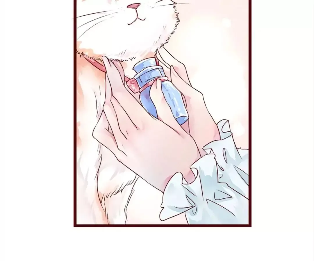 Guide To Raising Kitty Boyfriend Chapter 2 page 96