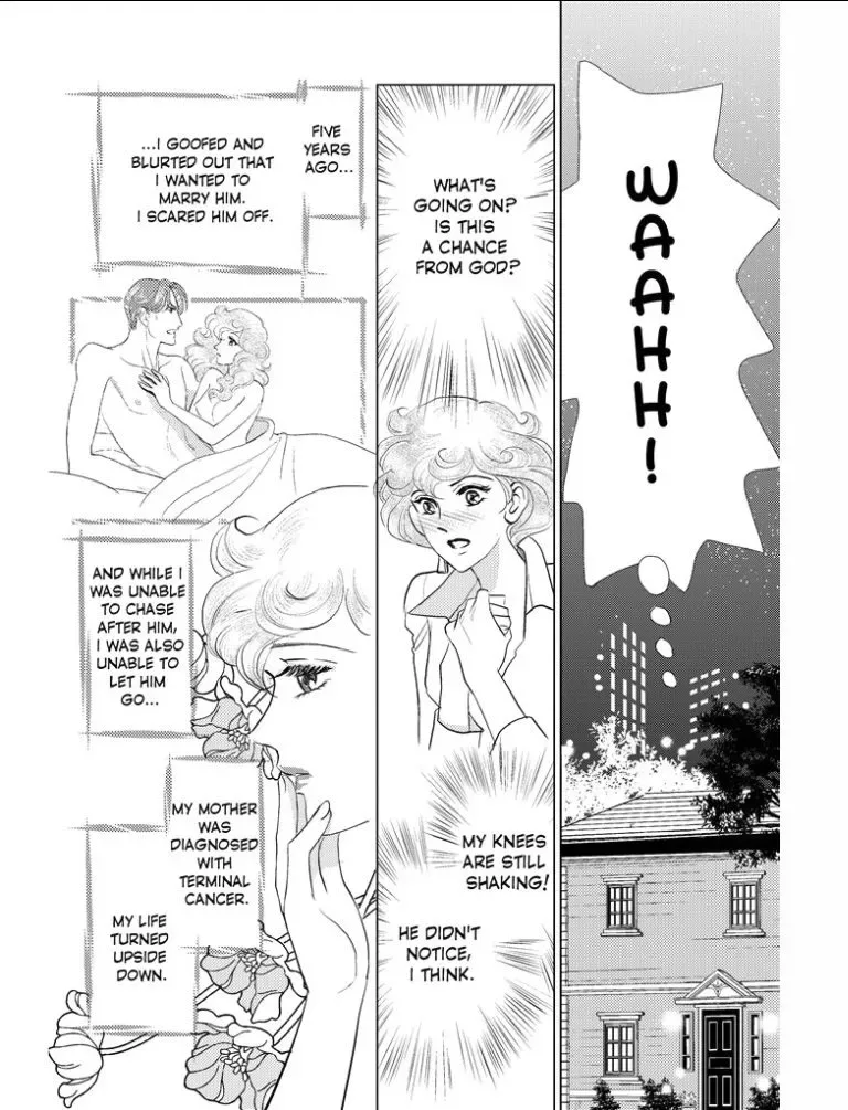 Shattered by the CEO (The Payback Affairs 1) Chapter 1 page 27
