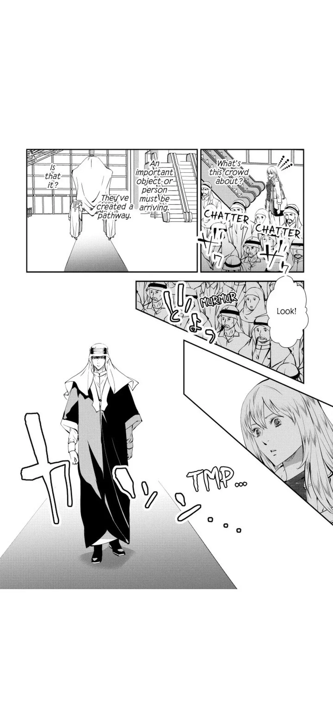 The Falcon's Mistress Chapter 1 page 5